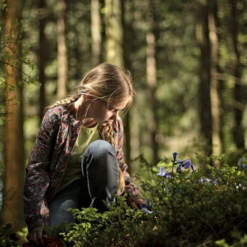 Lilie im Wald (Foto: SWR, Jan Geerk)