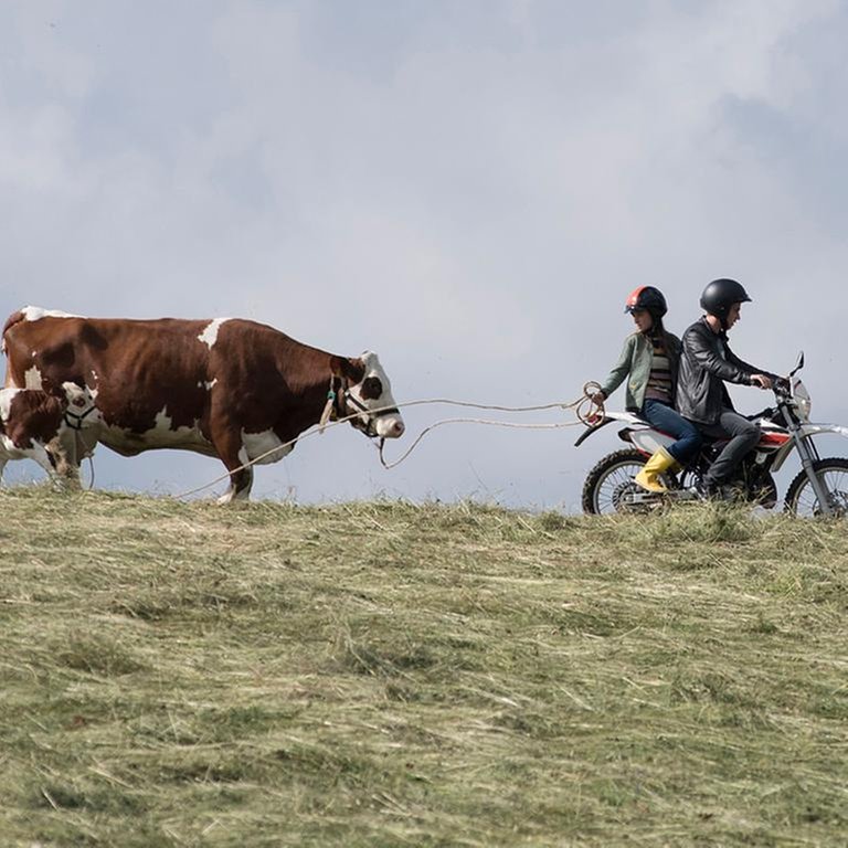 Paulina und Pawel von "Tiere bis unters Dach" auf einem Motorrad und mit der Kuh Felicia und ihrem Kalb Prinzi (Foto: SWR, Maria Wiesler)