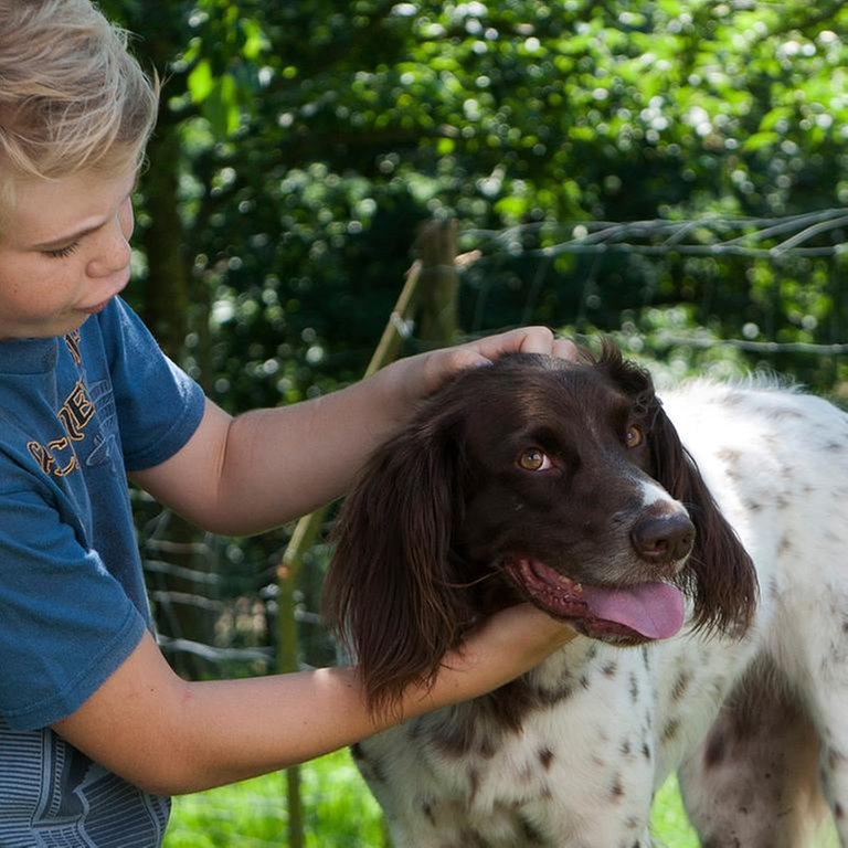 Tim streichelt den wilden Hund (Foto: SWR, Maria Wiesler)