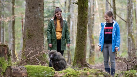 Leo und Lucy entdecken einen Pavian im Wald (Foto: SWR, Maria Wiesler)