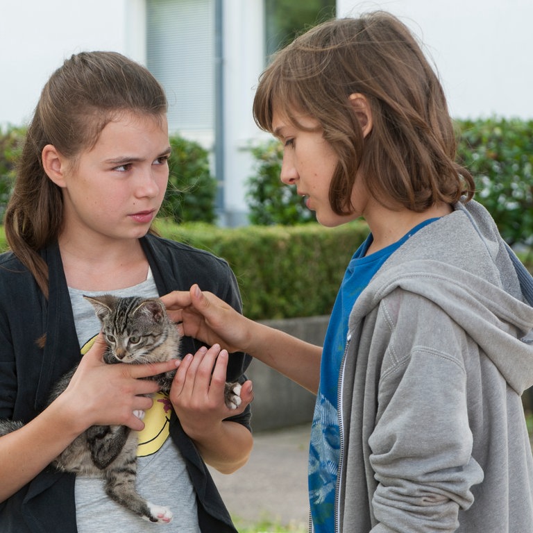 Leo und Jan mit der kleinen Katze Streuner, Tiere bis unters Dach (Foto: SWR, Maria Wiesler)