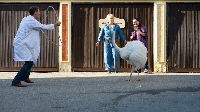 Darsteller der Serie "Tiere bis unters Dach" (Foto: SWR)