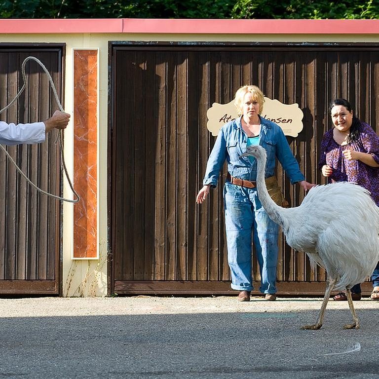 Darsteller der Serie "Tiere bis unters Dach" (Foto: SWR)