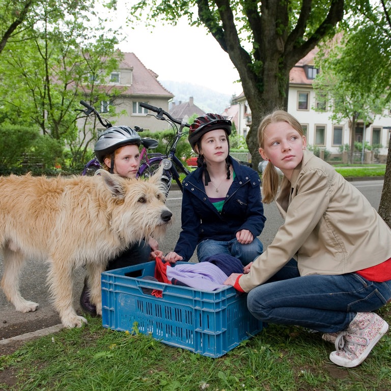 Darsteller von "Tiere bis unters Dach" (Foto: SWR, Maria Wiesler)