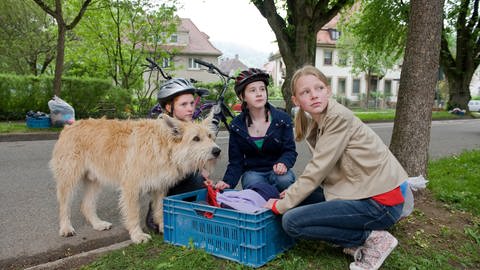 Darsteller von "Tiere bis unters Dach" (Foto: SWR, Maria Wiesler)
