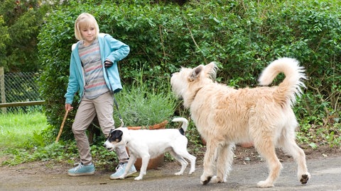 Nelly mit den Hunden Cookie und Brezel, Tiere bis unters Dach (Foto: SWR, Maria Wiesler)