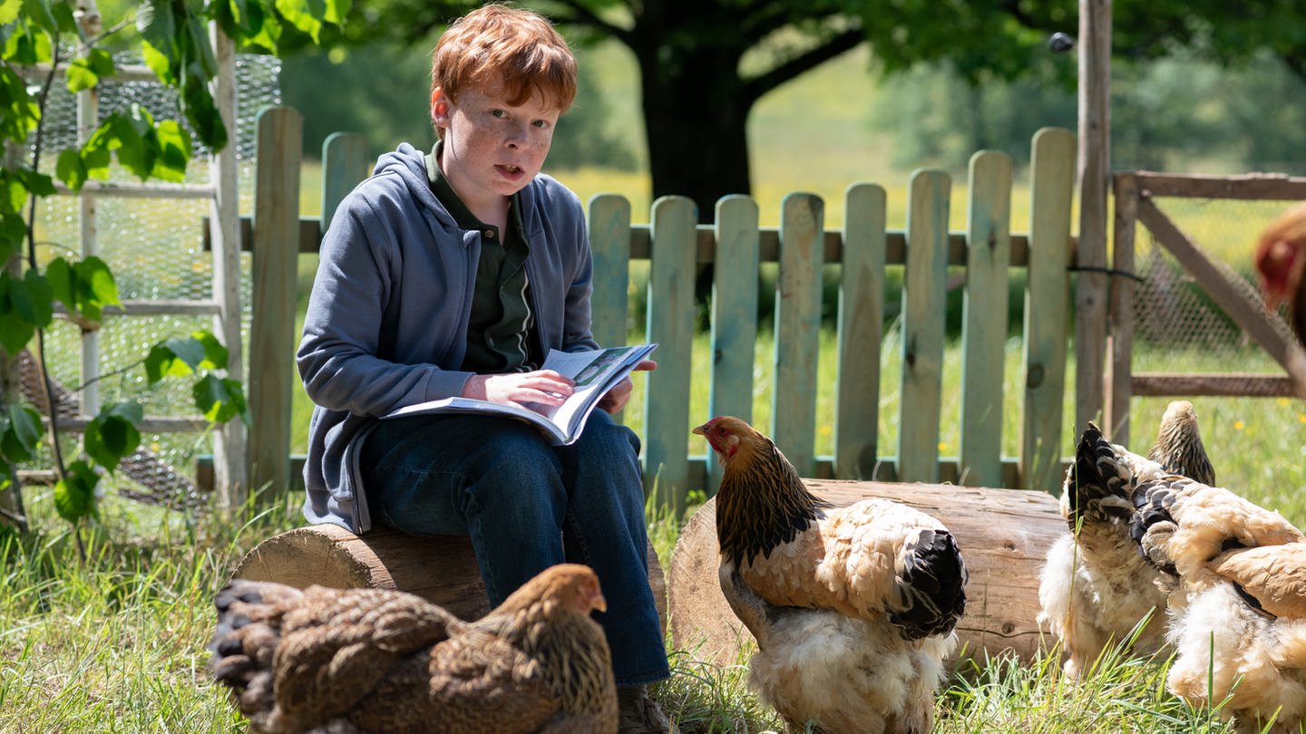 Ein Junge liest in einem Magazin umgeben von Hühnern (Foto: SWR, Maria Wiesler)