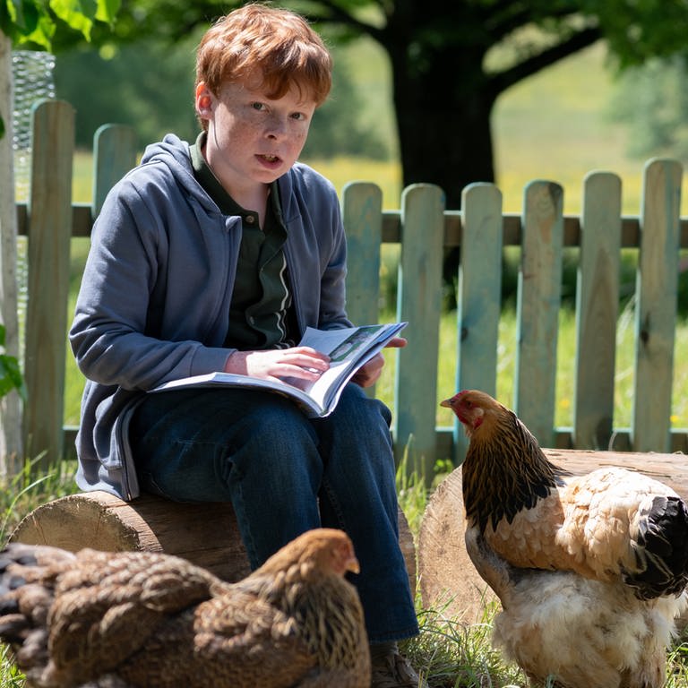 Ein Junge liest in einem Magazin umgeben von Hühnern (Foto: SWR, Maria Wiesler)