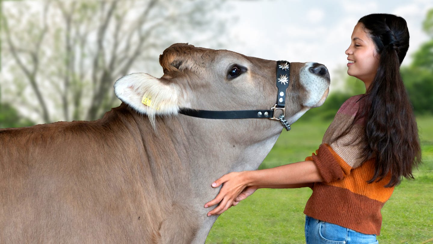 Eine Kuh schnüffelt an einem lachenden Mädchen auf einer Wiese. (Foto: SWR)