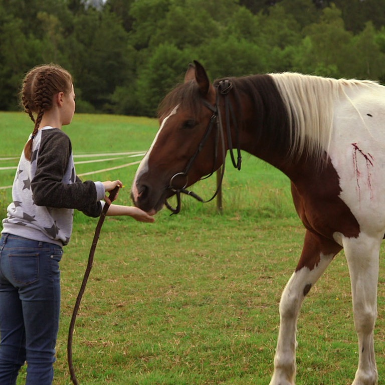 Leo mit Pferd Mozart (Foto: SWR)