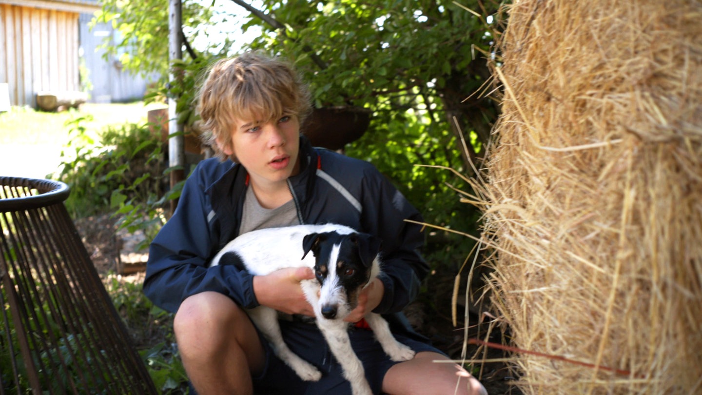 Tim versteckt sich mit Hund Cookie (Foto: SWR)