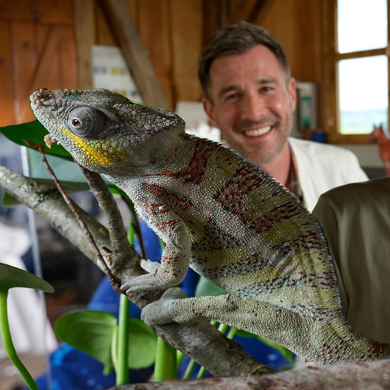 Kajo und Liam Winter mit Chamäleon Bo (Foto: SWR)