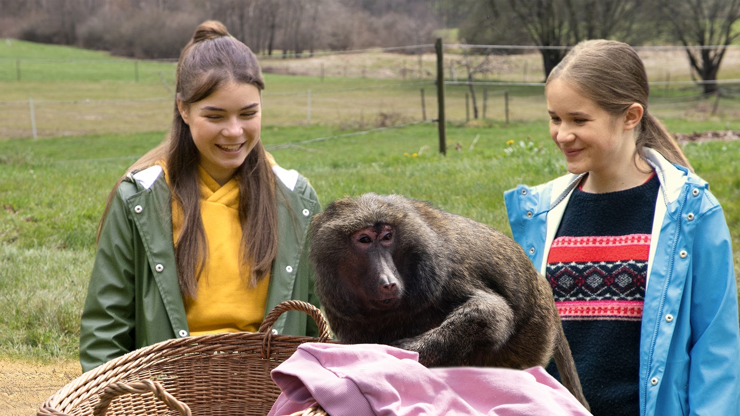 Leo und Lucy entdecken einen Pavian im Garten (Foto: SWR)