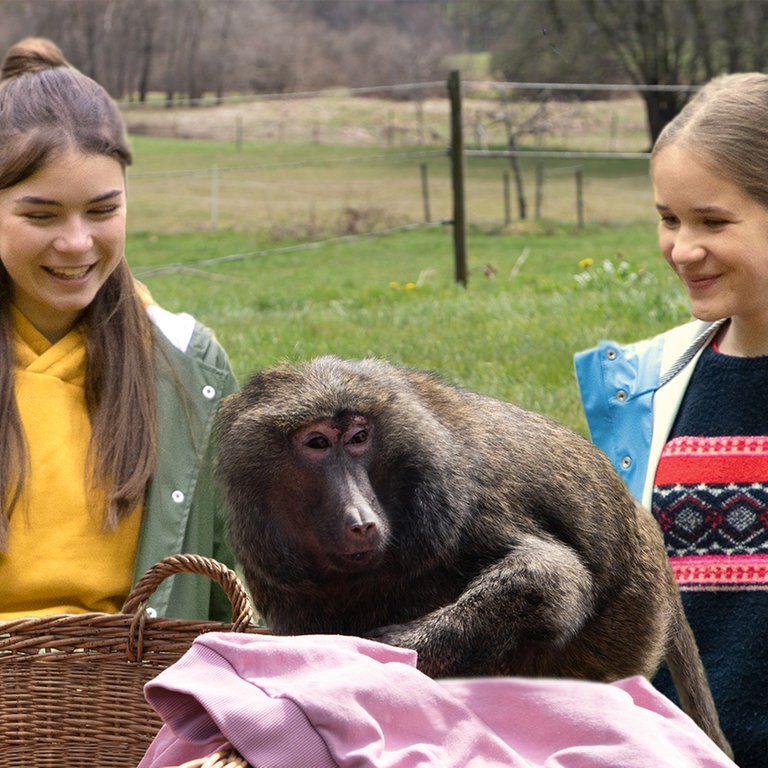 Leo und Lucy entdecken einen Pavian im Garten (Foto: SWR)