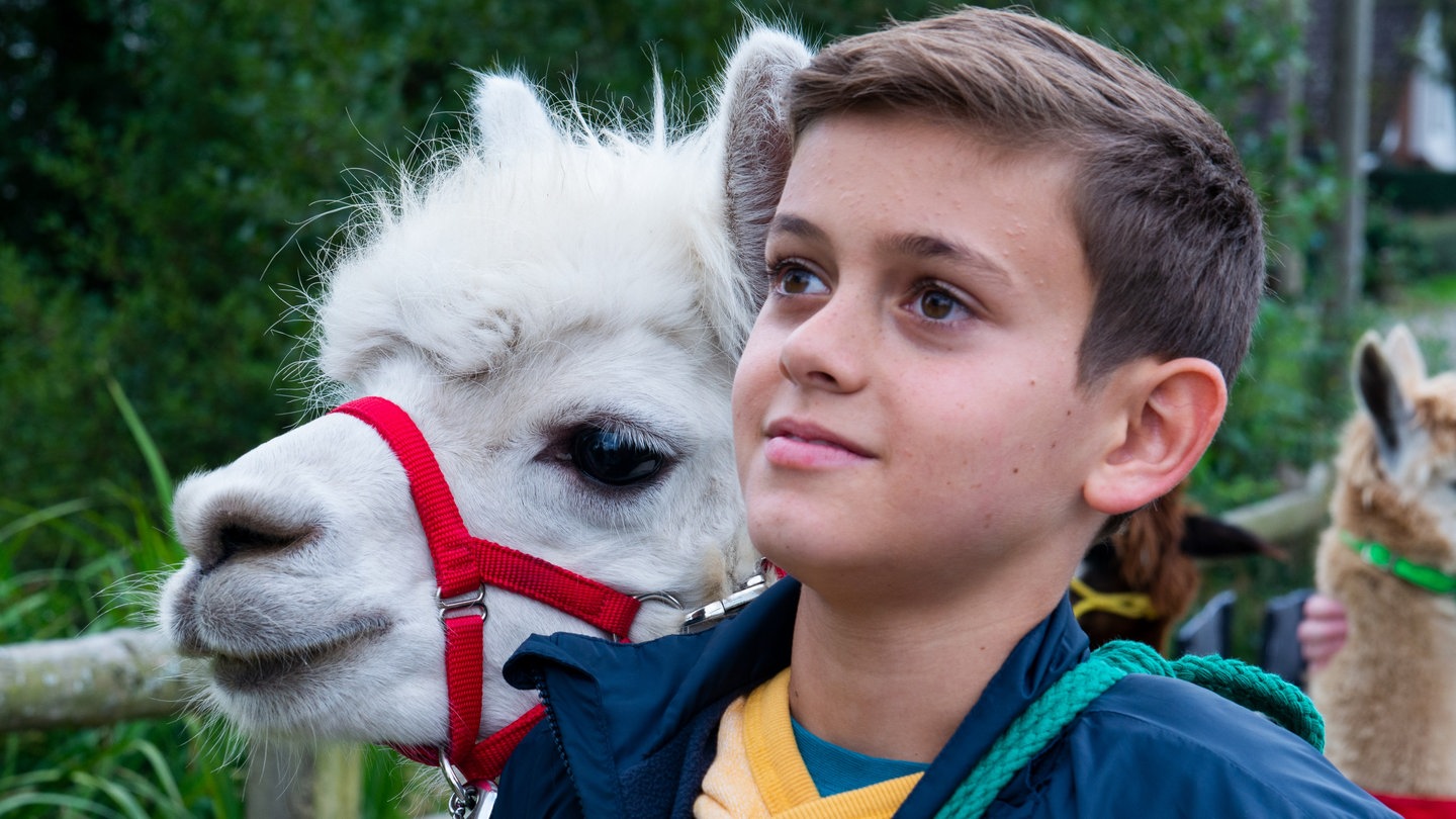 Tiere bis unters Dach: Liam mit Alpaka Pascha (Foto: SWR, Maria Wiesler)