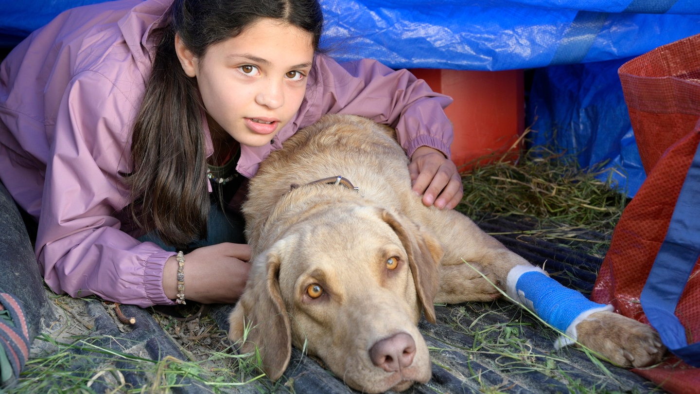 Tiere bis unters Dach: Ronja und Pari verstecken sich vor dem Wilderer (Foto: SWR, Maria Wiesler)