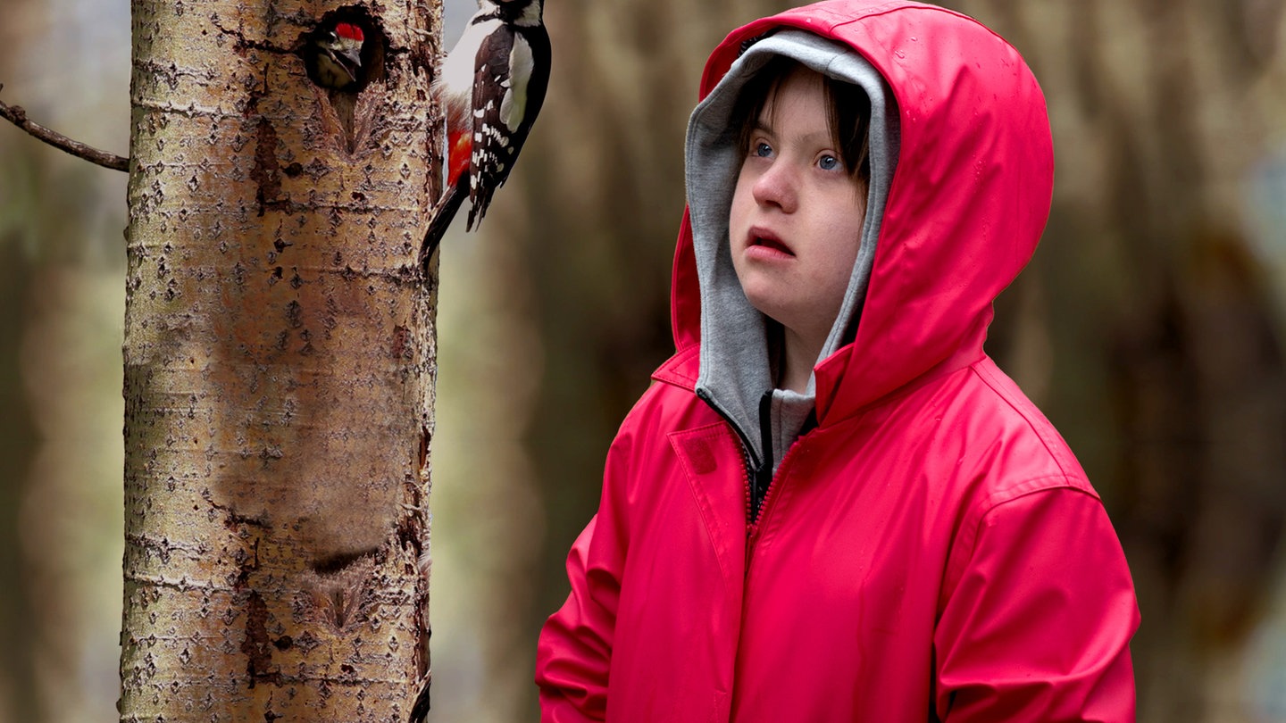 Toni sieht eine Spechtfamilie im Wald (Foto: SWR)