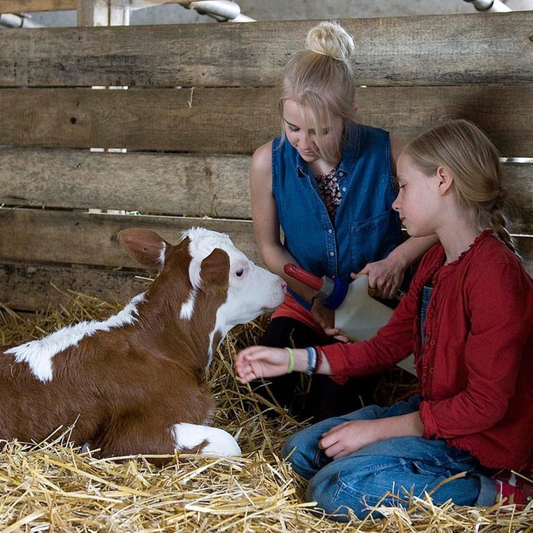 Darsteller aus "Tiere bis unters Dach - Milchmädchenrechnung" (Foto: SWR, SWR -)