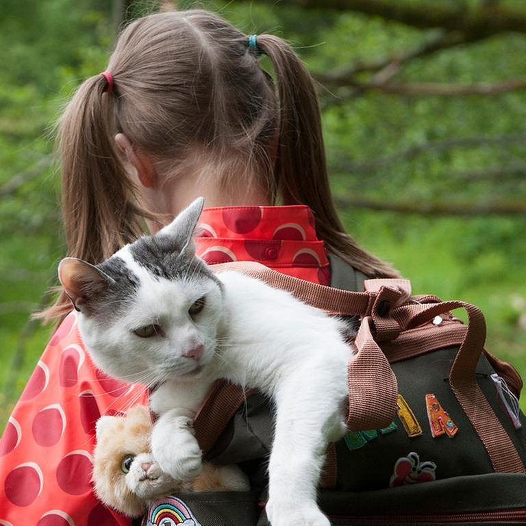 Mädchen bei "Tiere bis unters Dach" mit einer Katze in einem Rucksack