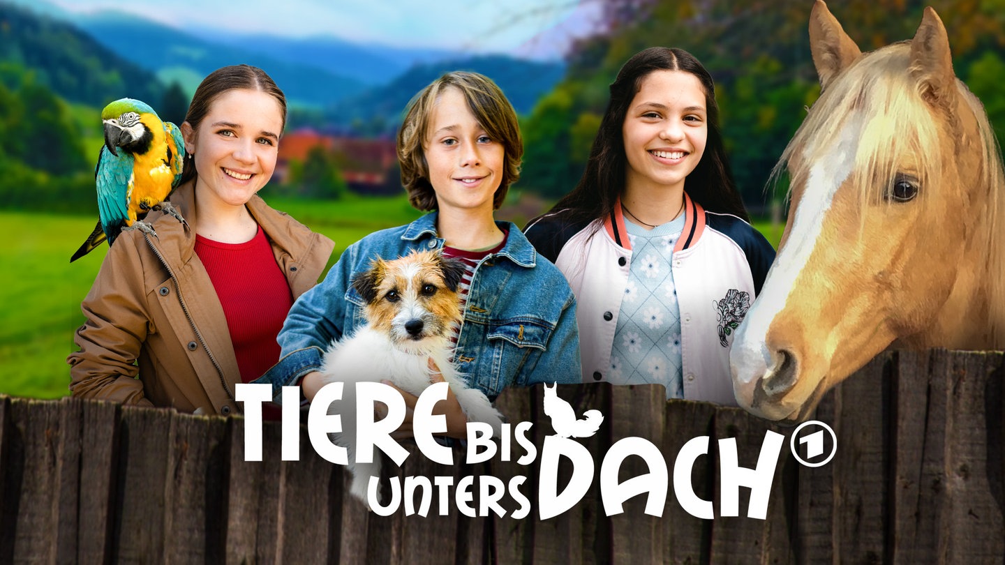 Tiere bis unters Dach