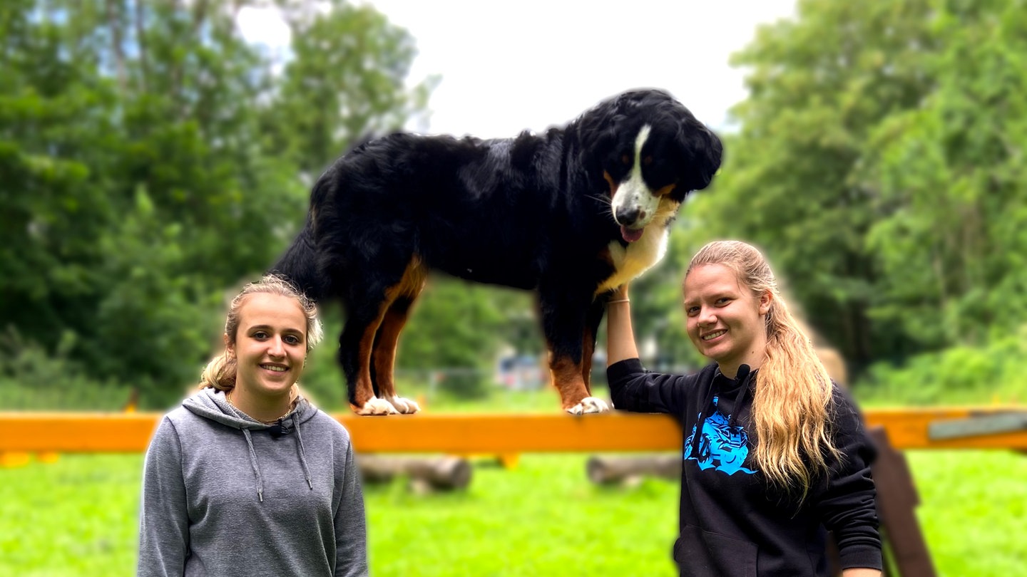 Sara und Sophia machen mit Hund Rosi das Hobby Mobility. (Foto: SWR)