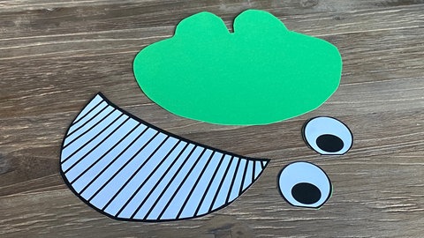 Frosch-Maske mit buntem Karton (Foto: SWR)