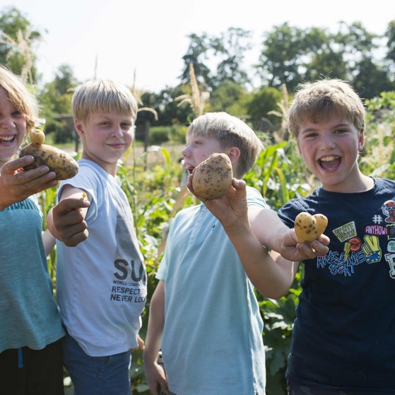 Gemüsegärten an Schulen (Foto: SWR, Herzenssache, Katharina Kühnel) Gemüsegärten an Schulen