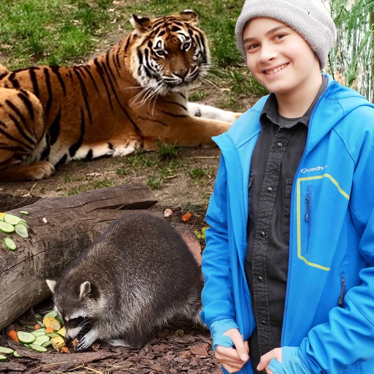 Mika in der Wildtierstation (Foto: SWR)