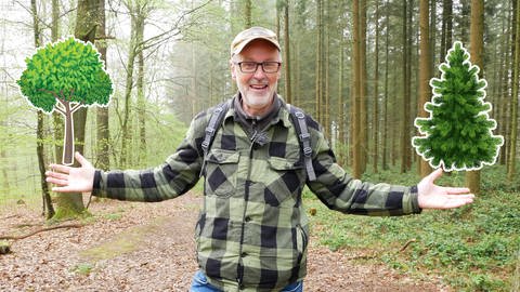 Peter Wohlleben im Wald (Foto: SWR)
