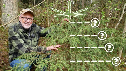 Peter Wohlleben im Wald (Foto: SWR)