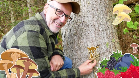 Peter Wohlleben im Wald (Foto: SWR)