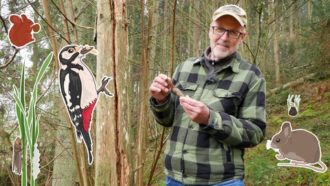 Peter Wohlleben im Wald (Foto: SWR)