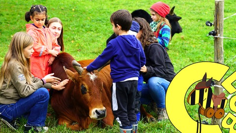 Auf dem Kinderbauernhof (Foto: SWR)