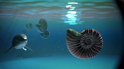 Unterwasserwelt (Foto: SWR)