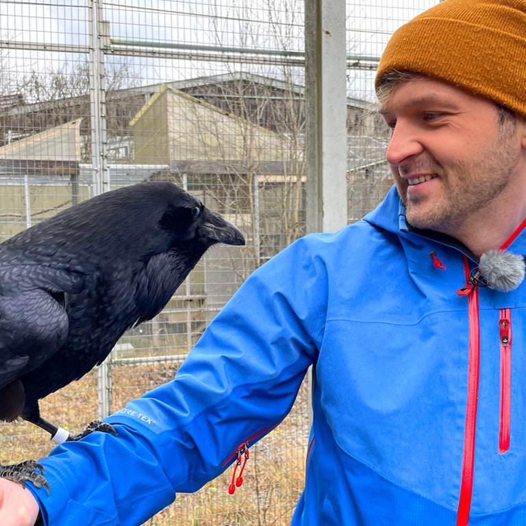 Johannes mit Rabe auf dem Arm (Foto: SWR)