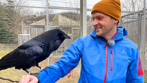Johannes mit Rabe auf dem Arm (Foto: SWR)
