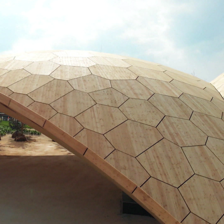 Dachkonstruktion (Foto: SWR)