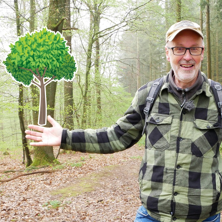 Peter Wohlleben im Wald (Foto: SWR)