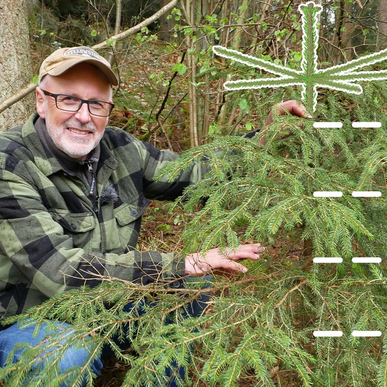 Peter Wohlleben im Wald (Foto: SWR)