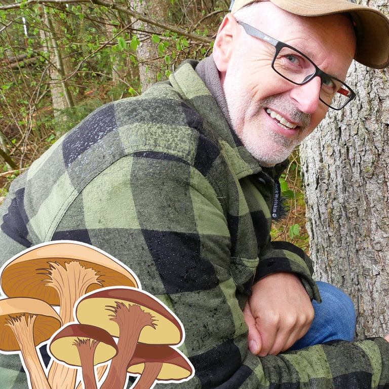 Peter Wohlleben im Wald (Foto: SWR)