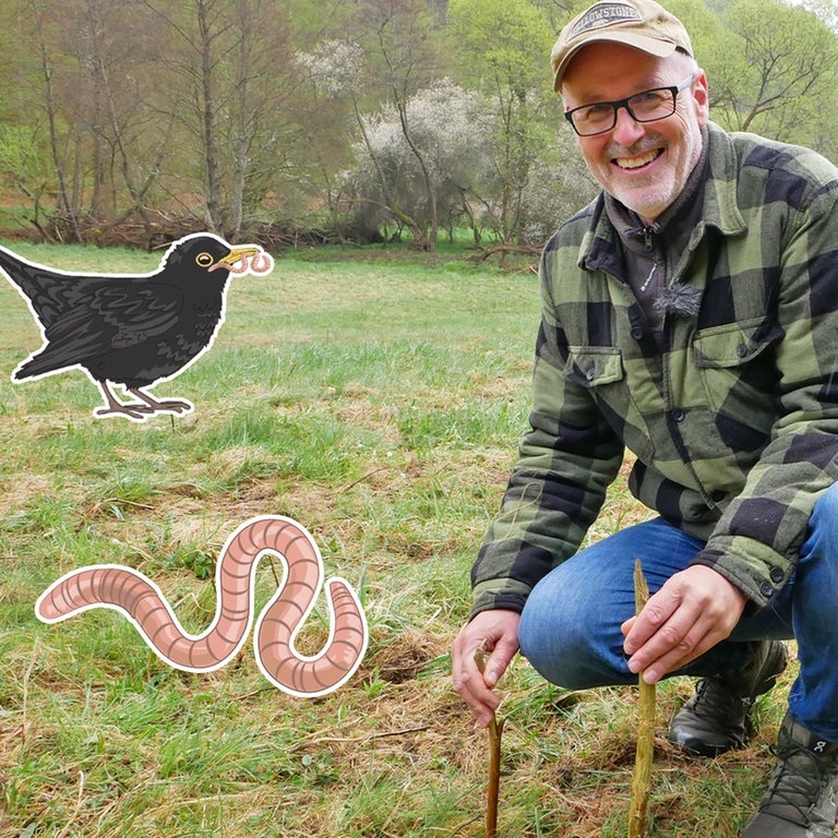 Peter Wohlleben im Wald (Foto: SWR)