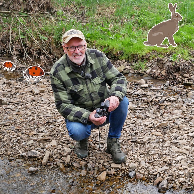 Peter Wohlleben im Wald (Foto: SWR)