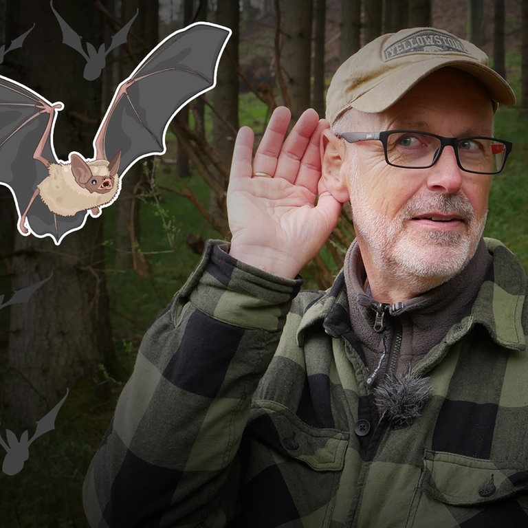 Peter Wohlleben im Wald (Foto: SWR)