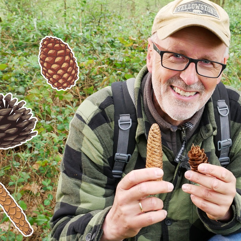 Peter Wohlleben im Wald (Foto: SWR)