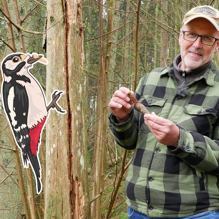 Peter Wohlleben im Wald (Foto: SWR)