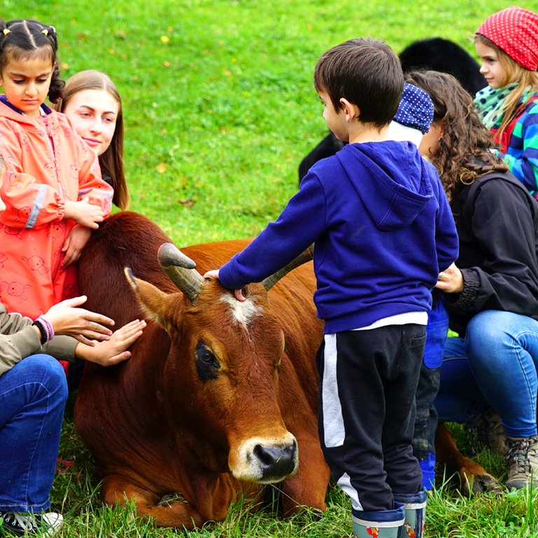 Auf dem Kinderbauernhof (Foto: SWR)