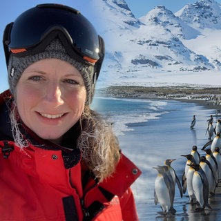 Stefanie Arndt und Pinguine
