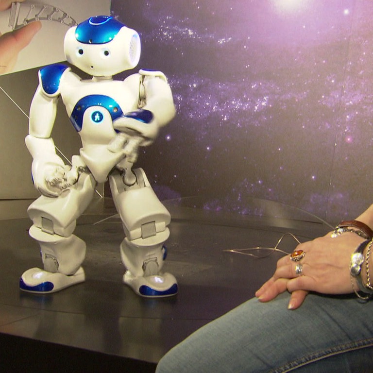 Roboter im Bionicum Nürnberg (Foto: SWR)