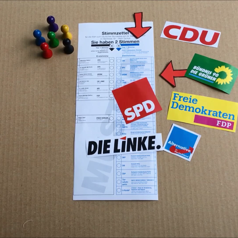 Wahlzettel mit Parteilogos (Foto: SWR, SWR)