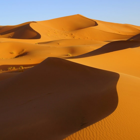 Foto: IMAGO, Thomas Kauroff/Photocase Sanddünen in der Sahara (Foto: IMAGO, Thomas Kauroff/Photocase)